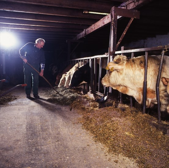 Small farmers in agriculture