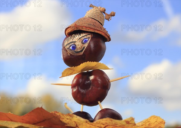 Smart chestnut figure with hat in the blue sky