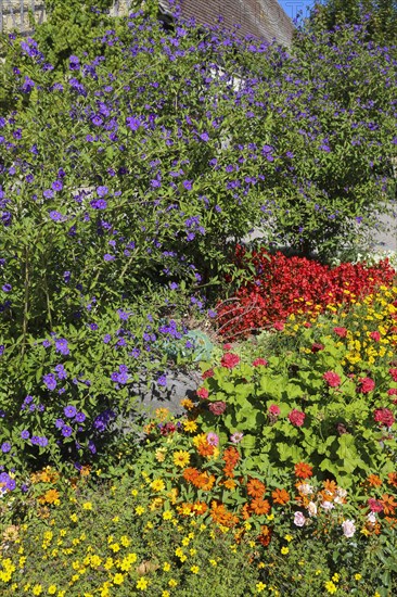 Flowerbed on the main road