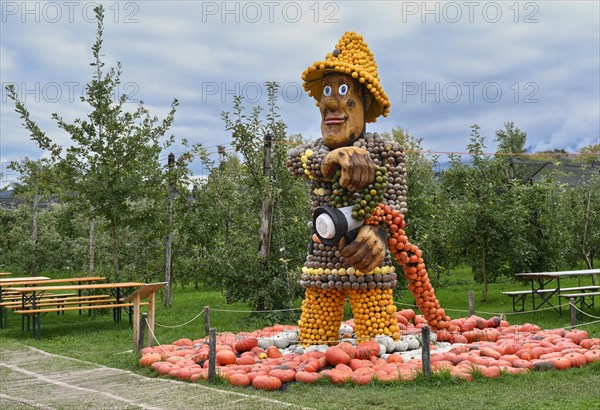 Figure Fireman Pumpkins