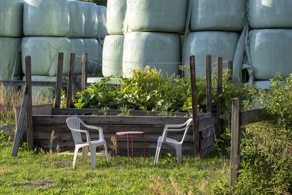 Vegetable patch