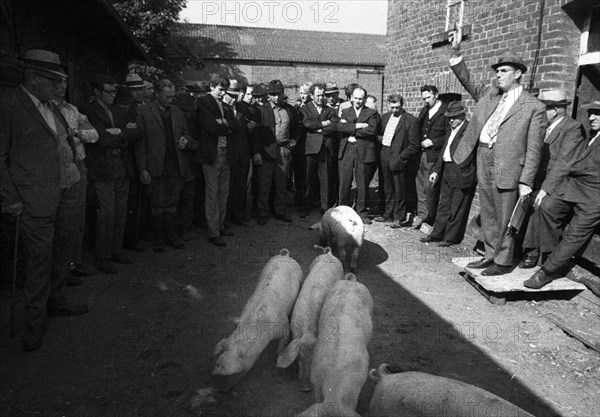 The auction of a bankrupt farm on 22. 09. 1971 in Greven in Muensterland