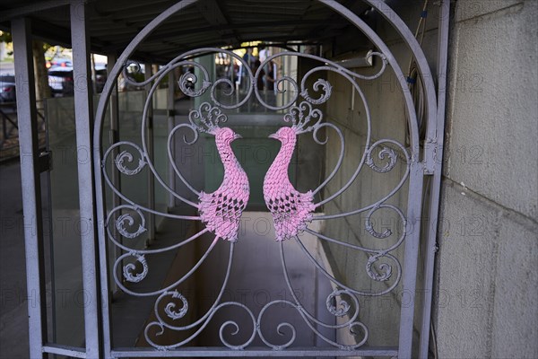 Peacock as a wrought-iron ornamental grille