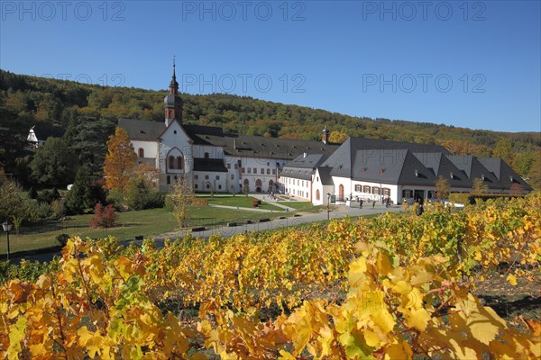 UNESCO Eberbach Monastery in the vines