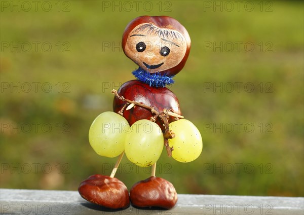 Chestnut figure with grapes in the evening light