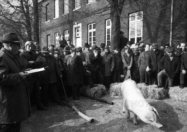 The auction of a farm on 2. 3. 1972 in the Muensterland in Ascheberg with all inventory and livestock