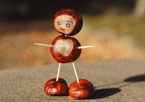 Cute chestnut figure in the evening light