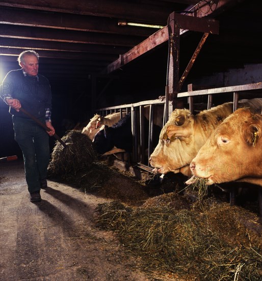 Small farmers in agriculture