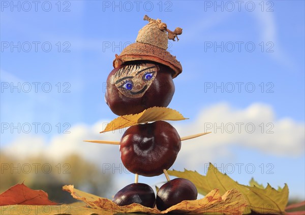 Smart chestnut figure with hat in the blue sky