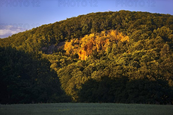 Wartenberg in the late evening light in the Ruhr valley