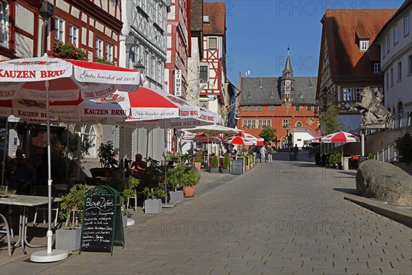 Half-timbered houses