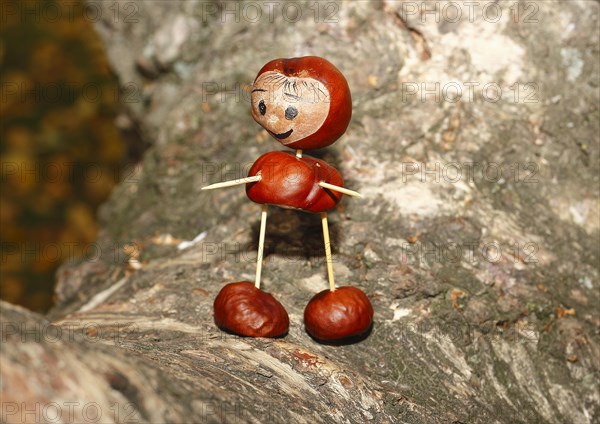 Cute chestnut figure on birch trunk