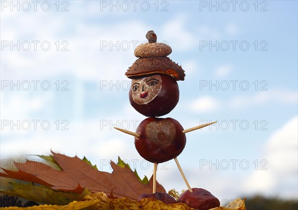 Smart chestnut figure with hat in the blue sky