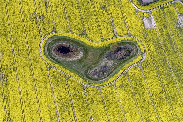 Aerial photograph of a Soll in a rape field