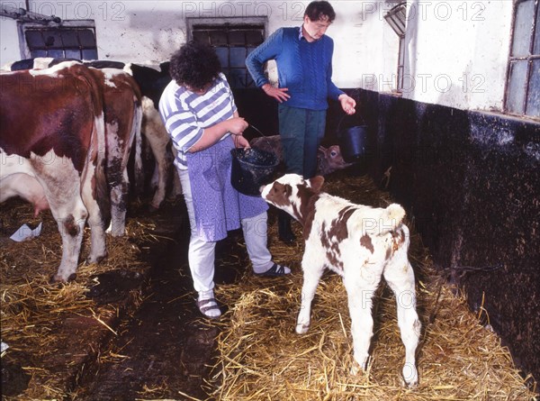 Small farmers in agriculture