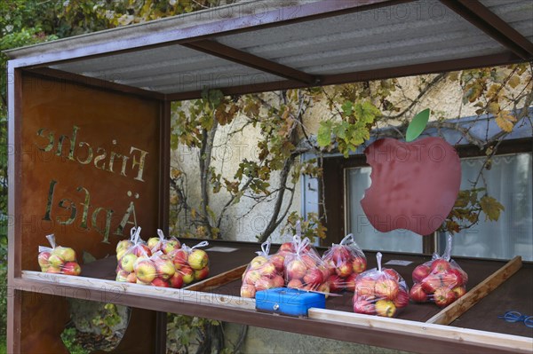 Apples from Lake Constance