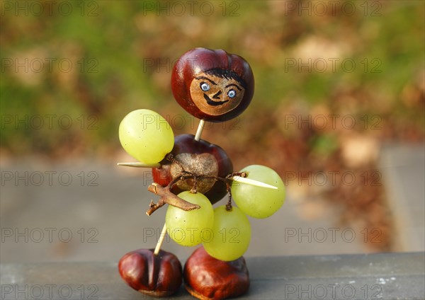 Chestnut figure with grapes in the evening light