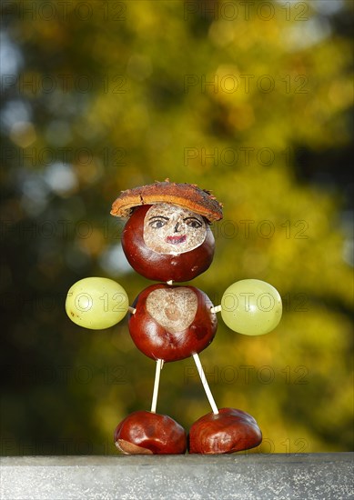Chestnut figure with grapes in the evening light
