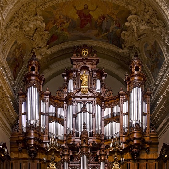 Sauer organ