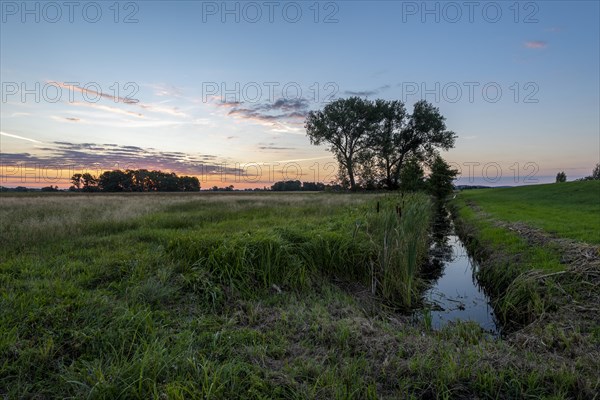 Sunrise in the Westhavelland nature park Park