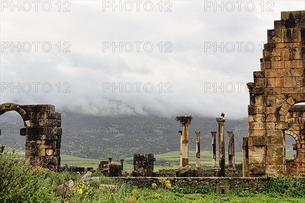 Roman ruins of Volubilis