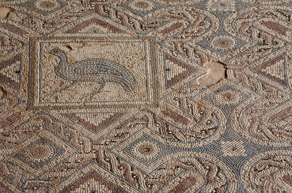 Floor mosaic