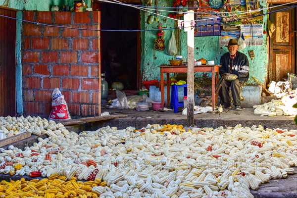 Old man and colourful corn cobs laid out to dry