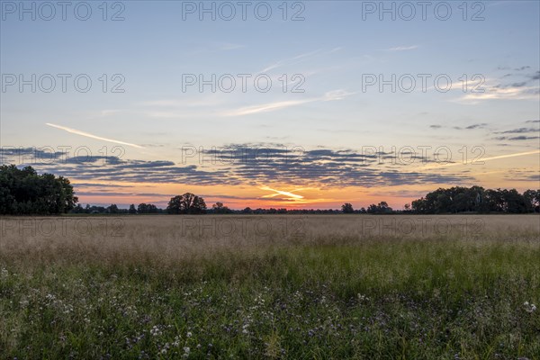 Sunrise in the Westhavelland nature park Park