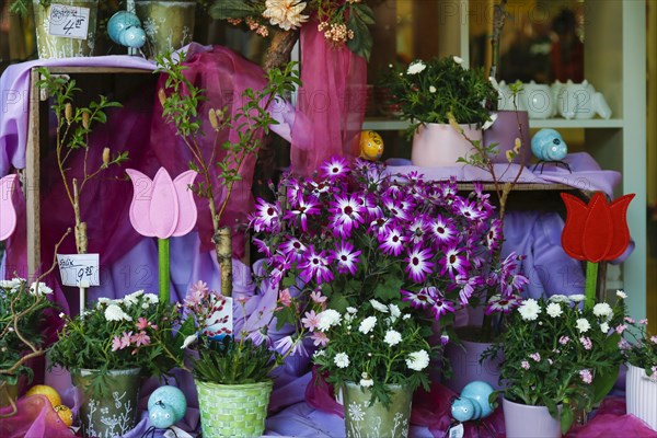 Flower shop in shopping street