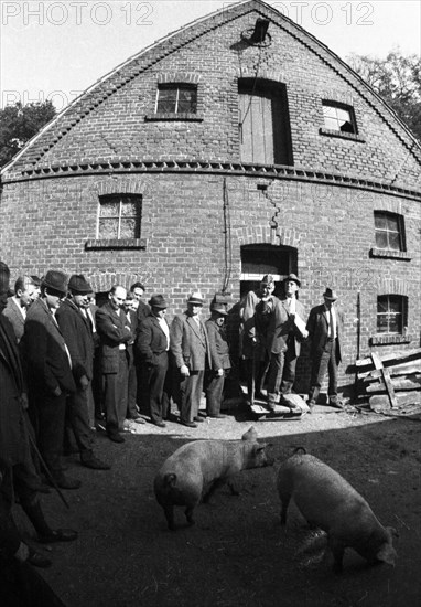 The auction of a bankrupt farm on 22. 09. 1971 in Greven in Muensterland