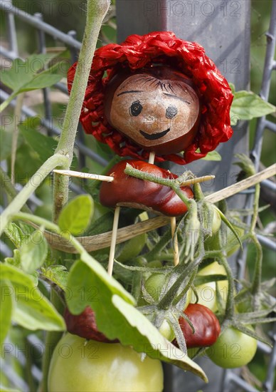 Cute chestnut figure with tomatoes