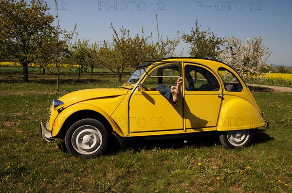 Vintage Citroen 2CV in spring