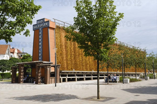 Gradierwerk in the Salinenpark