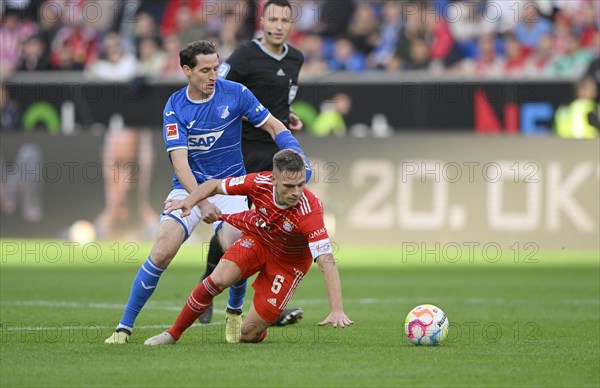 Sebastian Rudy TSG 1899 Hoffenheim