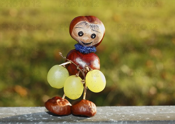 Chestnut figure with grapes in the evening light