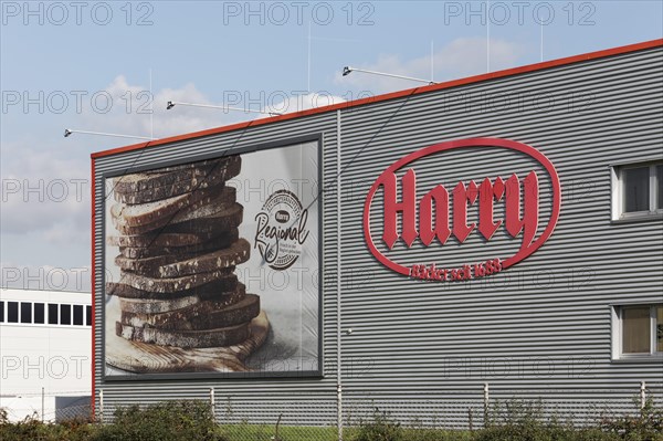 Harry Brot