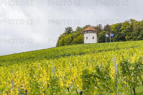 The medieval St Mark's Tower in the Markusberg vineyard is a symbol of Schengen