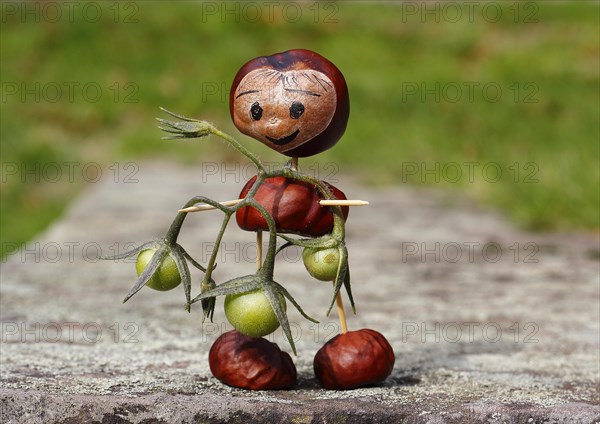 Cute chestnut figure with small tomatoes on wall