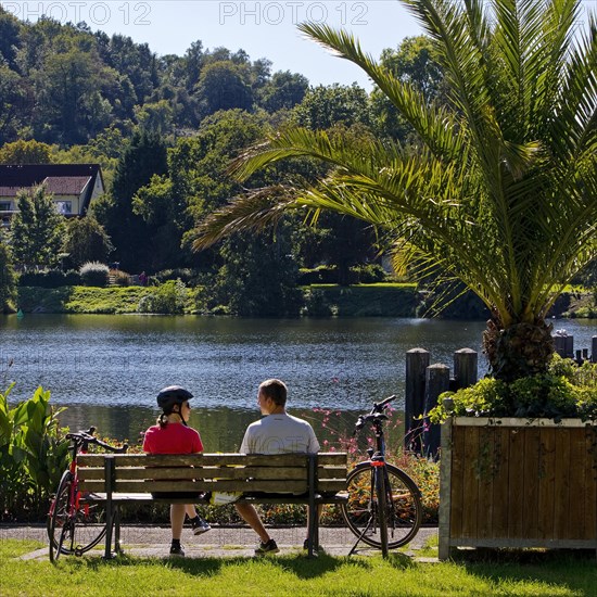 Cyclist on the Ruhr Valley Cycle Path with palm trees