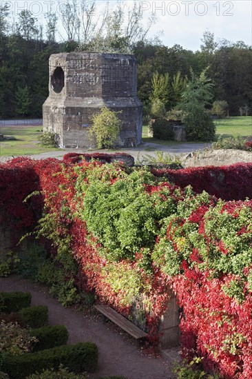 Bunker gardens overgrown with wild vines in autumn colours