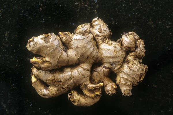 Herbal Medicine Ginger