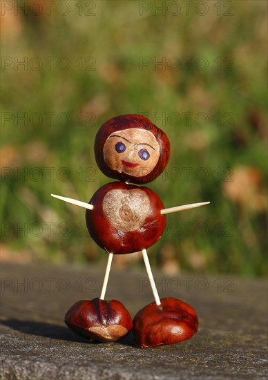 Cute chestnut figure in the evening light