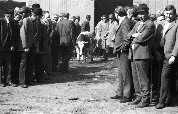 The auction of a bankrupt farm on 22. 09. 1971 in Greven in Muensterland