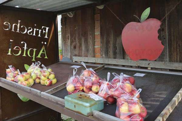Apples from Lake Constance