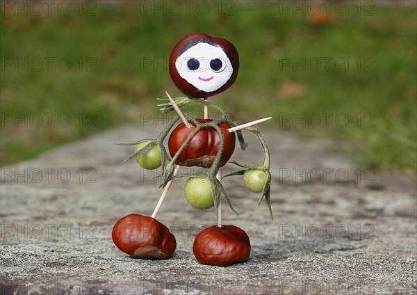 Cute chestnut figure with small tomatoes on wall