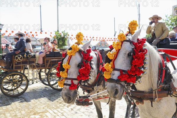 Horse-drawn carriages