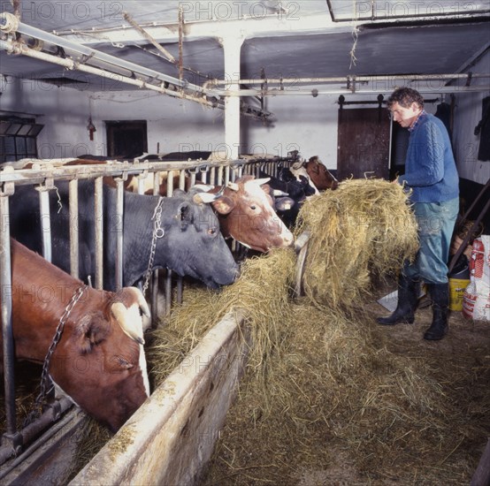 Small farmers in agriculture