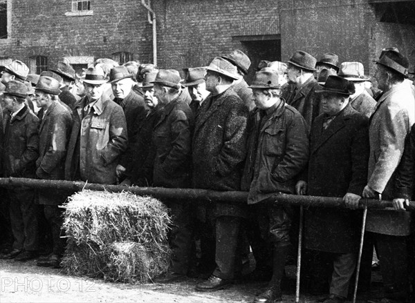 The auction of a farm on 2. 3. 1972 in the Muensterland in Ascheberg with all inventory and livestock