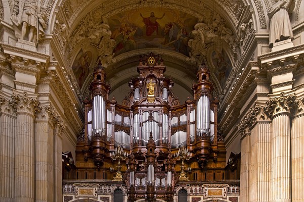 Sauer organ