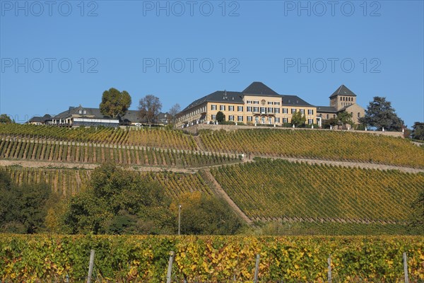 Johannisberg Castle and Landscape with Vineyards Wine Growing Area